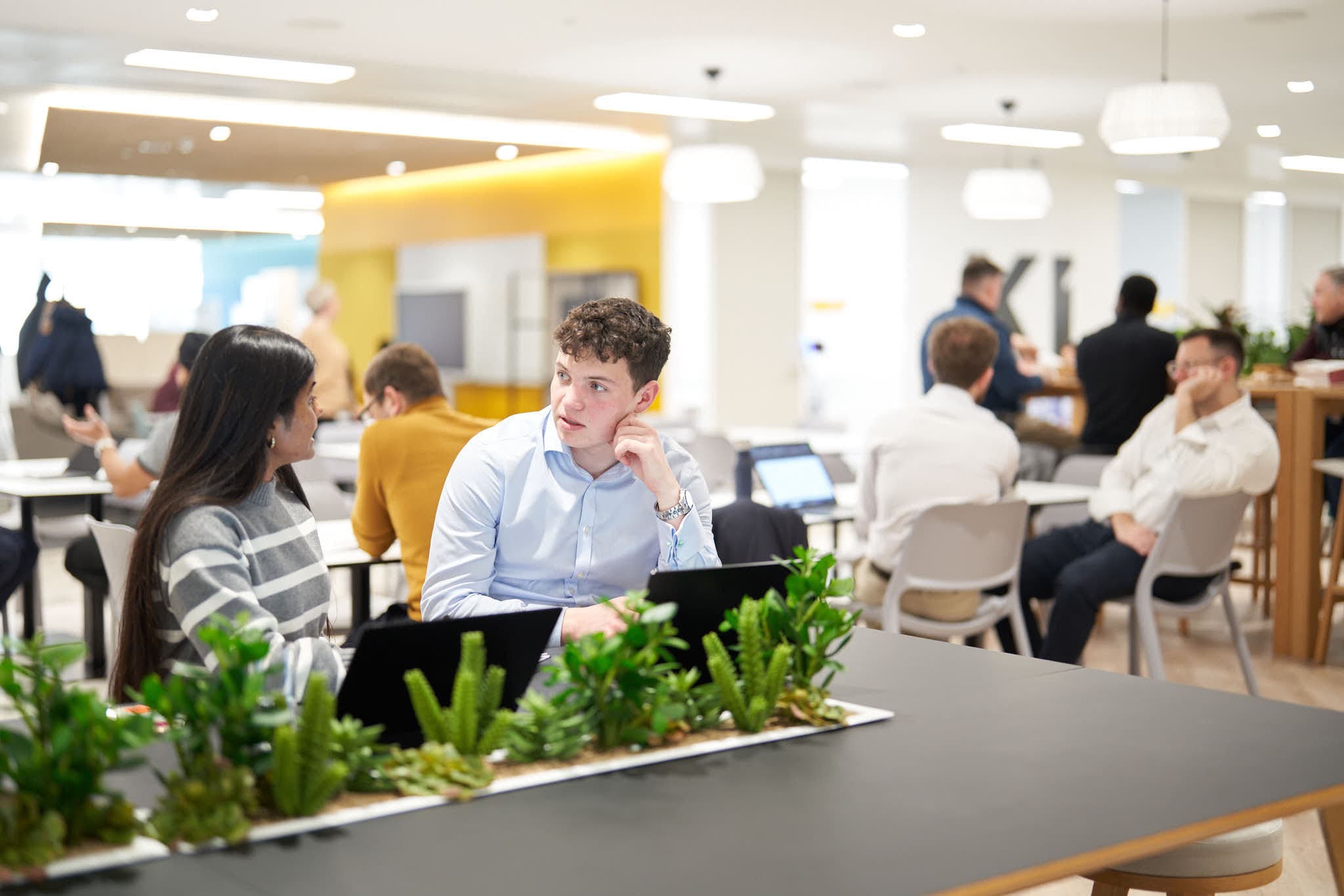 Social Area Social area